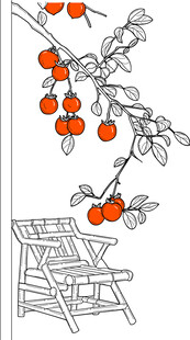 秋日椅旁挂着累累柿子 矢量图