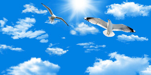 蓝天白云天花软膜