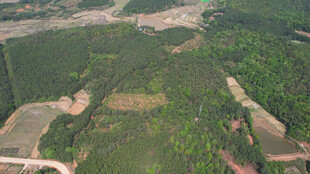 俯瞰绿意盎然的广袤大地