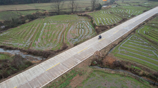 乡村公路旁的广袤农田