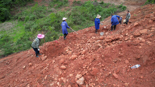 工人在红土地上辛勤劳作