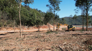 山林间的挖掘机作业场景
