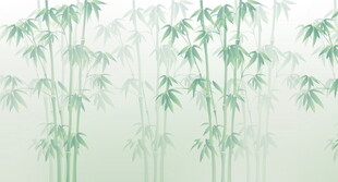 杜邦纸竹子灯箱