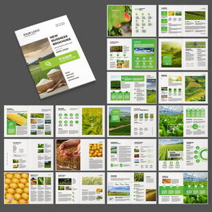农产品宣传册