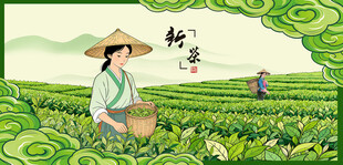 采茶姑娘采茶女茶文化