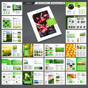农产品宣传册