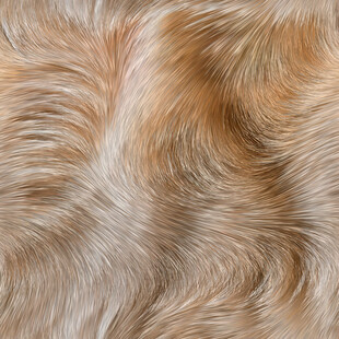 柔软蓬松的动物毛发纹理