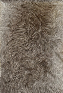 柔软毛绒材质特写