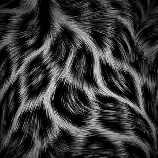 黑白毛发纹理图案