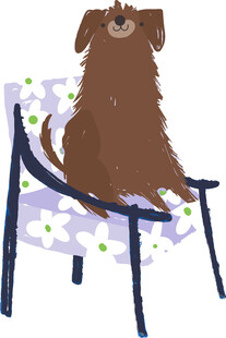 小狗端坐于花纹椅子上