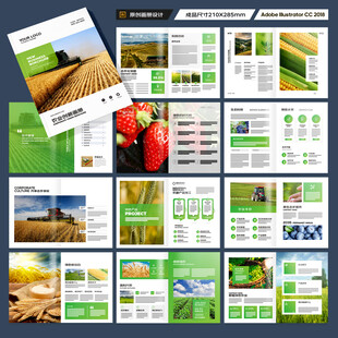 农产品宣传册