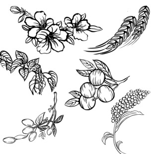 植物花卉版画手绘插画