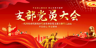 支部党员大会背景