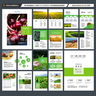 农产品宣传册