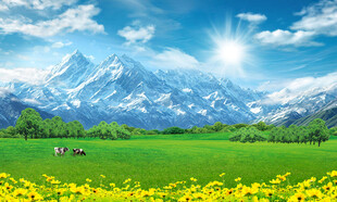 蓝天白云大草原