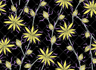 黄色花卉黑色背景图案