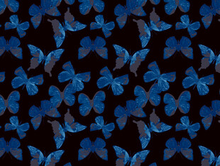 蓝色蝴蝶图案背景纹理