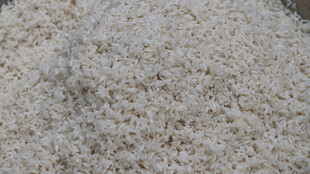 白色粉末状物质特写