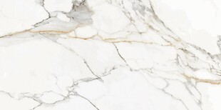 鱼肚金大理石纹理特写