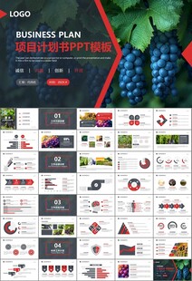 葡萄庄园新疆葡萄葡萄酒PPT