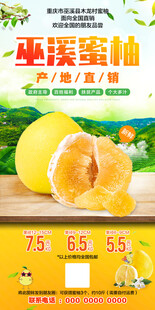 巫溪蜜柚柚子水果海报