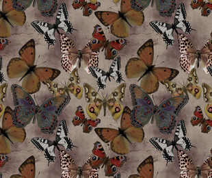 多彩蝴蝶图案纹理背景