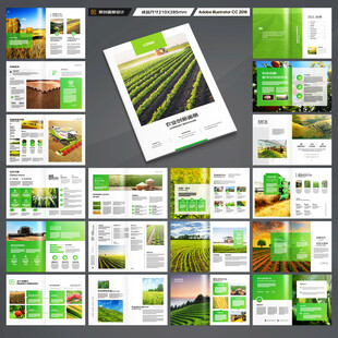 农产品宣传册