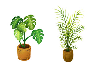扁平风手绘绿色植物盆栽插画