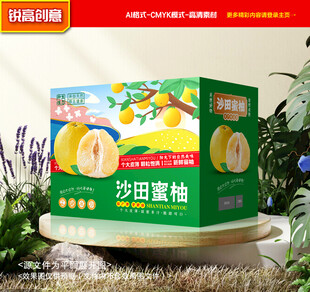 柚子包装 蜜柚礼盒