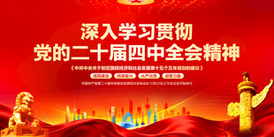 二十届四中全会精神
