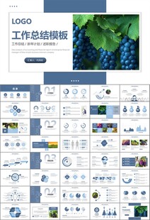 葡萄庄园新疆葡萄葡萄酒PPT