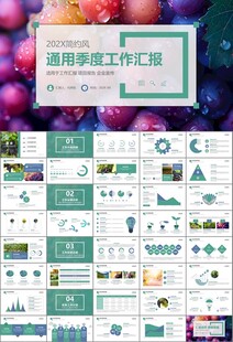 葡萄庄园新疆葡萄葡萄酒PPT