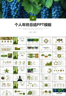 葡萄庄园新疆葡萄葡萄酒PPT
