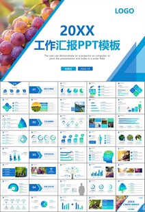 葡萄庄园新疆葡萄葡萄酒PPT