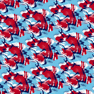红蓝图案布料纹理设计