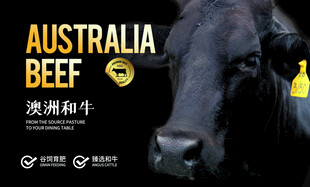 澳洲和牛宣传图卡片