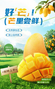 芒果海报