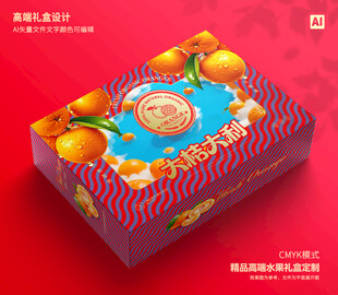 橙子包装 脐橙礼盒