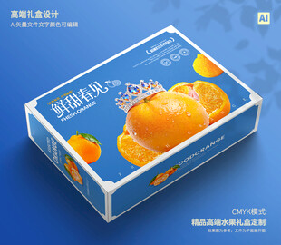 桔子包装 砂糖桔礼盒