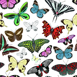 多彩蝴蝶图案背景