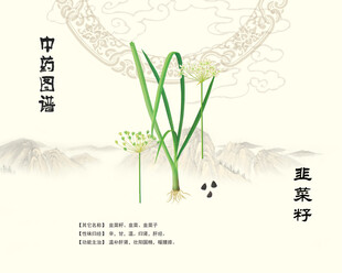 韭菜籽中药韭菜籽