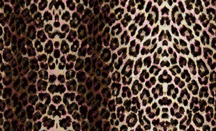豹纹图案布料纹理