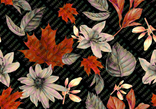 秋季花卉与叶片图案设计