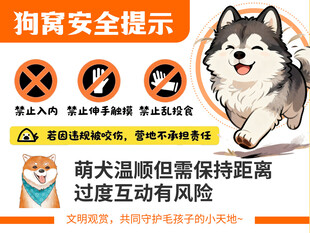 萌宠萌犬宠物屋动物园安全提示