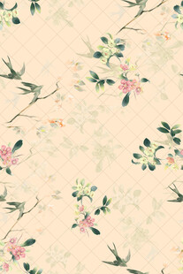 中式花鸟图案背景纹理