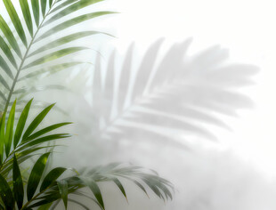 雾气磨砂膜效果绿植贴图