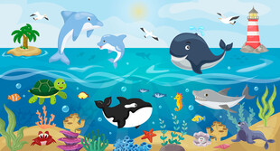 可爱海豚鲸鱼海底动物海洋背景墙