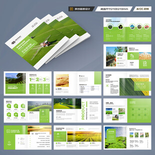 方形农产品宣传册