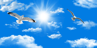 蓝天白云天花软膜