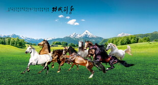 骏马图八马图八骏图